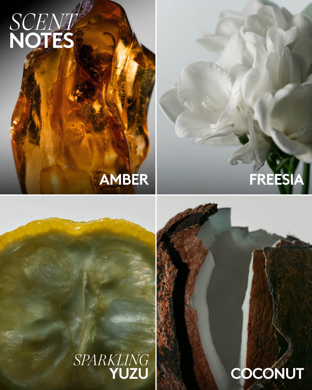 Butta Drop Whipped Oil Body Cream with Tropical Oils + Shea Butter — Amber Bouquet